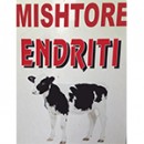 Endriti mishtore